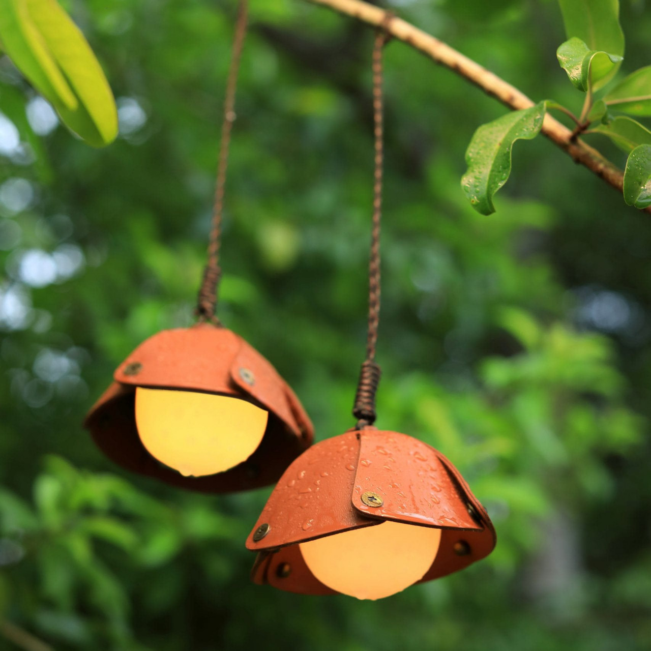Obal pre svietidlo ACORN LIGHT